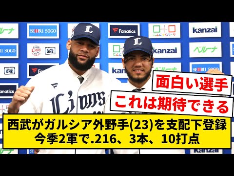 西武がガルシア外野手(23)を支配下登録。今季2軍で.216、3本、10打点【なんJ・2ch】