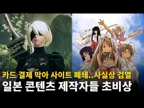 '성진국' 일본마저..성인물 결제 막는 신용카드사들, NieR 제작자가 우려 표명