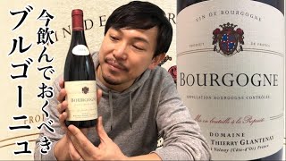 【フランス 赤ワイン】この価格で飲める中では最高のブルゴーニュ！ ピノ・ノワールのエレガンス！ ゆきおとワイン247「Thierry Glantenay Bourgogne Rouge 2018」