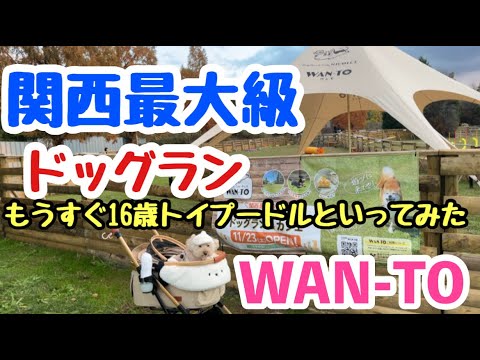 関西最大級の室外WAN-TOドックランができたのでいってみた❣