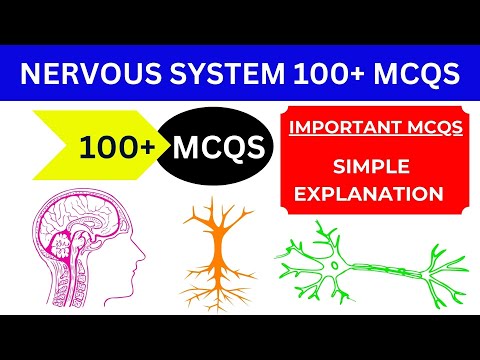 NERVOUS SYSTEM 100+ MCQ | Practice MCQs with ANSWERS & EXPLANATION | Competitive Exam