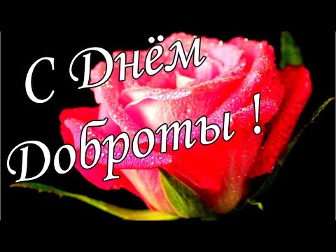 С Днём Доброты 14 Февраля! Твори Добро На Всей Земле!Солнечного Дня Доброты!    Музыкальная открытка