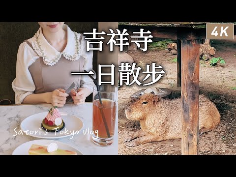 Tokyo vlog｜Kichijoji🐾Bakery Cafe、Inokashira Park Zoo、Taiwanese Gourmet 、MeetFresh