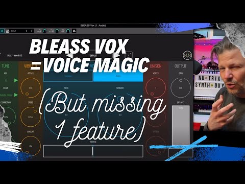 Bleass VOX = voice magic but is missing 1 crucial feature!