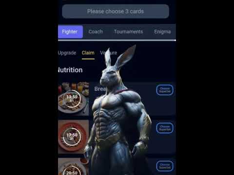 Rocky Rabbit Combo | Today Rocky Rabbit Combo Card 19 July