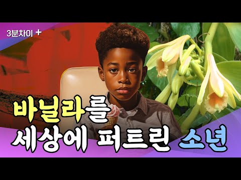 바닐라를 세상에 퍼트린 소년