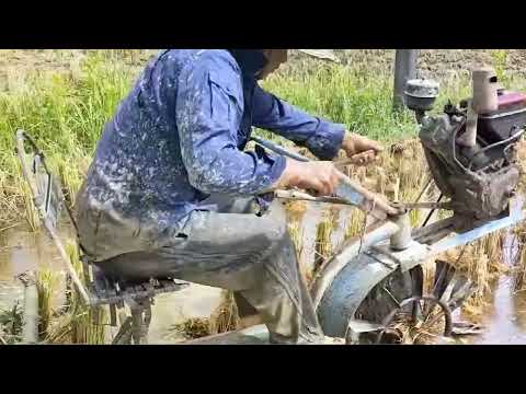 Small farming artifact, a good assistant for paddy field plowing