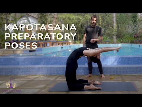 Explore Kapotasana Preparatory Poses with Ty Landrum at Purple Valley Yoga