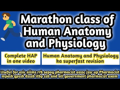 Marathon class of human anatomy and physiology#rrbpharmacistexam2024#osssc#dsssb#esic#jssc#hssc