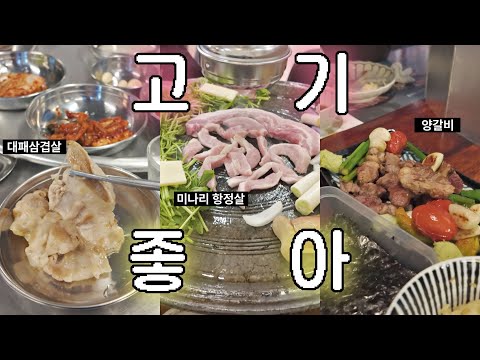 [일상] 저기압일 때는 고기 앞으로 가라 🥩(외식 편, 고기 맛집 모음, 양심회관 본점, 60판왕뚜껑삼겹살 화성반월점, 이치진 동덕여대점)