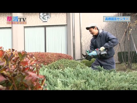 【草加】未来をつくる土と緑を育む「高橋園芸センター」