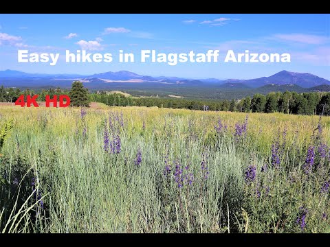 Aspen Loop Trail - Picture Canyon Flagstaff Arizona.