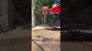 Water Rocket Fun!!