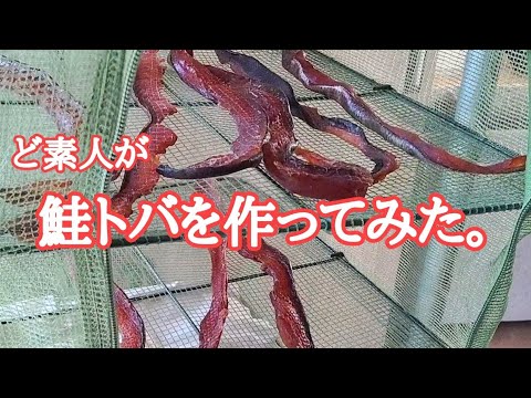 【北海道】もらった鮭でトバ作りに挑戦！旨いけど…。んっ😅？