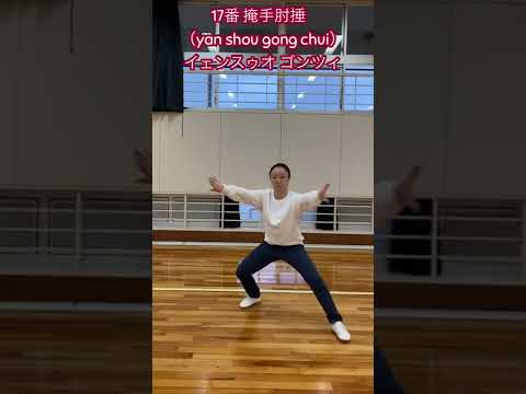 42式太極拳 第2段【17番 掩手肱捶 yan shou gong chui（イェンスゥオ ゴンツィ）】太極拳中国チャンピオン劉一丁