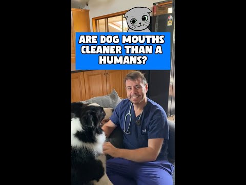 Dr Evan - Can you kiss your dog! 🐶