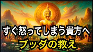 【ブッダの教え】これを観れば貴方のイライラや怒りはなくなります【人生論】怒りっぽい方がカルナと僧侶の物語