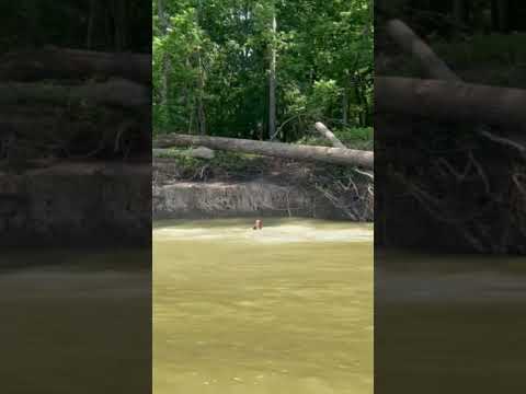 they love the river