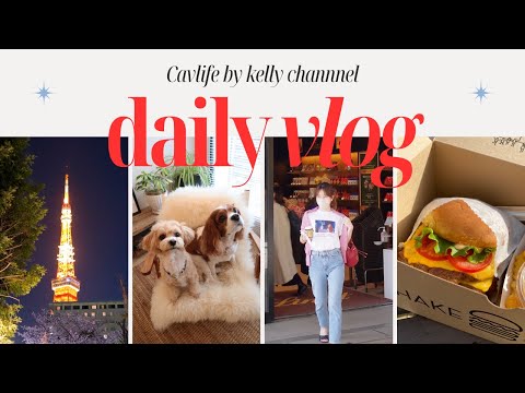 🐶👩🏻‍🦰【daily vlog】いつも笑顔にさせてくれるキャバリア・ケリーの3日間｜東京タワー｜御殿場アウトレット｜ドギボ｜わん友