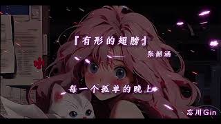 有形的翅膀-DJ降调版