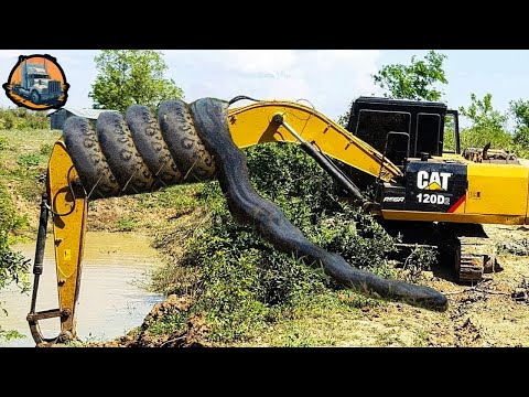 Extremely Dangerous Excavator Operating Skills - Stubborn Idiots Driving Heavy Machinery #61