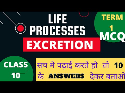 Excretion MCQ Questions | Life Processes MCQ | Cbse Class 10 Ch 6 MCQ By Fraz Khan @khanstudypoint