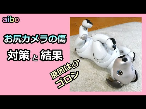 【63 お尻カメラの傷つき防止DIY】DIY A Protector of Albo's SLAM Camera