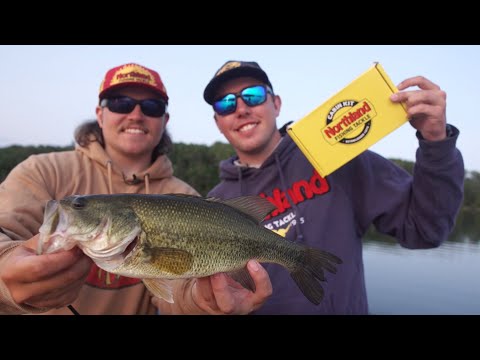 Cabin Lure Kit Challenge: Weekend Bass Fishing Adventure (Tips & Strategies)