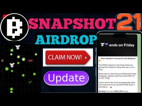 Blum Airdrop Snapshot Update |  Dogs Eligibility Criteria | Blum Update | Blum Withdrawal process |