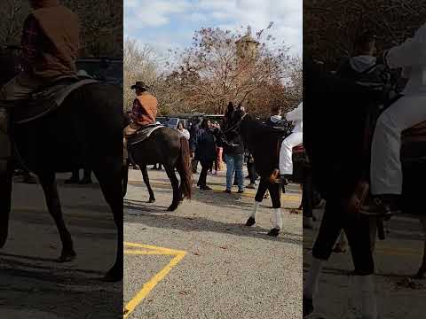 Chitlin Strut Parade in Salley Sc 😍 #southcarolinalifestyle