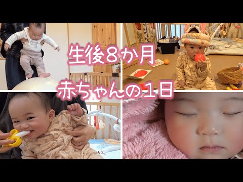 【生後8か月】赤ちゃんの一日！頭突きが止まらない