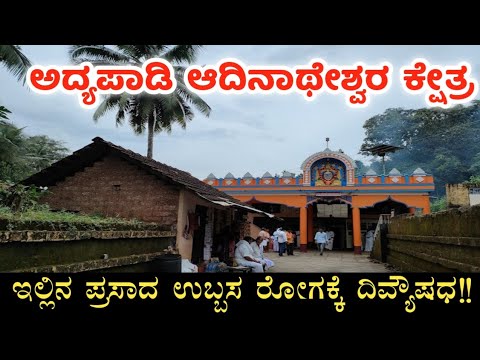 ಅದ್ಯಪಾಡಿ ಆದಿನಾಥೇಶ್ವರ ದೇವಸ್ಥಾನ |ಬಜ್ಪೆ | Adyapady Sri Adhinatheshwara Temple | Bajpe