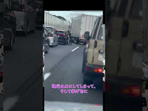 首都高で大型トラックで道路を塞ぐという危険運転をした運転手のヤバさ #あおり運転 #トラック野郎 #トラックの仕事