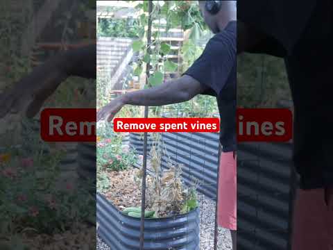 Garden reset #shortvideo #garden #shorts