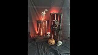 Halloween prop bird in a cage pirate theme