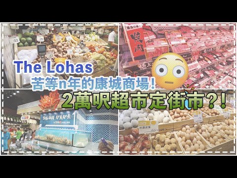 【陪你睇樓】康城商場The Lohas｜居民等了逾10年的『街市』有咩買？