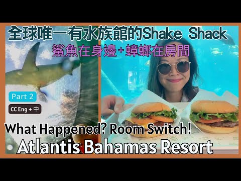 Atlantis Bahamas 全球唯一有水族館的Shake Shack ! 鯊魚在身邊！房間有蟑螂！Eating Shake Shack at Aquarium! Why switch room?