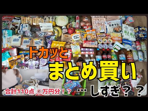 【まとめ買い】引きこもり専業主婦が爆買いした日🛒/総額○万円💦