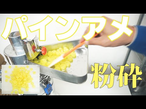 【飴粉末】パインアメを粉砕（ハンマーミル）