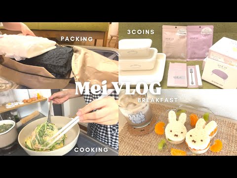 【vlog】アラフォーOL👩🏻‍💼1人暮らしのいつもの日常|3coins購入品