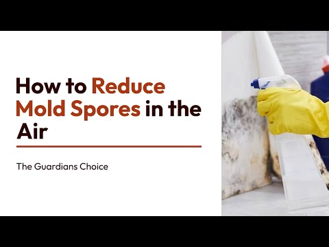 Breathe Easy: How to Reduce Mold Spores in the Air for a Healthier Home | The Guardian's Choice