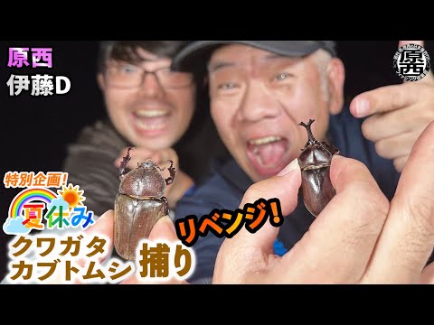 【リベンジ！】原西＆伊藤Dのクワガタ・カブトムシ捕り