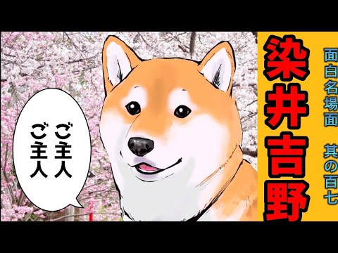 【世界の終わりに柴犬と】切り抜き編集 # 107《桜の季節ですね。桜にまつわるｳﾝﾁｸをどうぞ。🌸》 #世界の終わりに柴犬と  #アニメ #柴犬