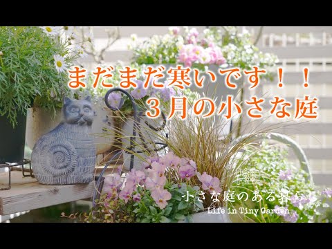 ガーデニング Vlog｜まだまだ寒いです！！３月の小さな庭｜ 〜小さな庭のある暮らし 157〜Gardening ｜ Life in a tiny garden