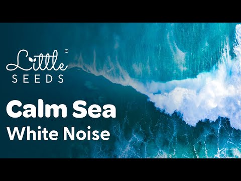 Ocean Waves White Noise - Sleep and Relax Calming Background