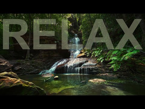 Deeply Relaxing Music - Escape to a Place of Tranquility 🌴 90 minutes #relaxingmusic #calmmusic