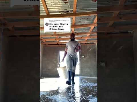 How many times do you clean and disinfect your chicken house #southafricanfarm #chicken #broilerfarm