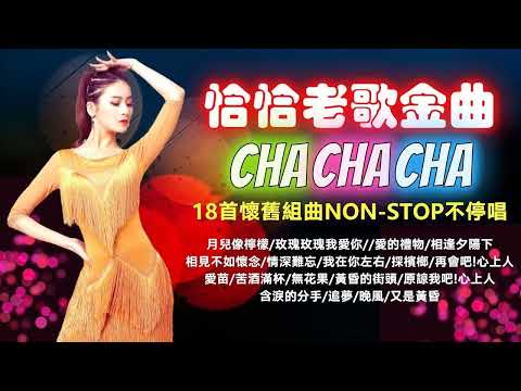 【福建恰恰金曲  】舞女 | 初戀 | 看破愛別人 | 酒國英雄 | 一支小雨傘 | 阿郎阿郎 | 惜別的海岸 | 心事誰人知 | 風飛沙 Hokkien Oldies cha cha (歌詞版)