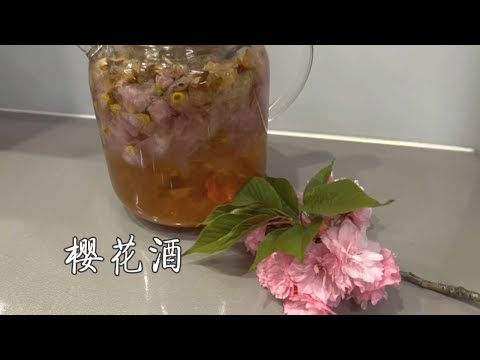 樱花酒