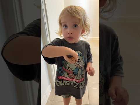 Pranking my 2 year old! #ytshorts #funny #pranks